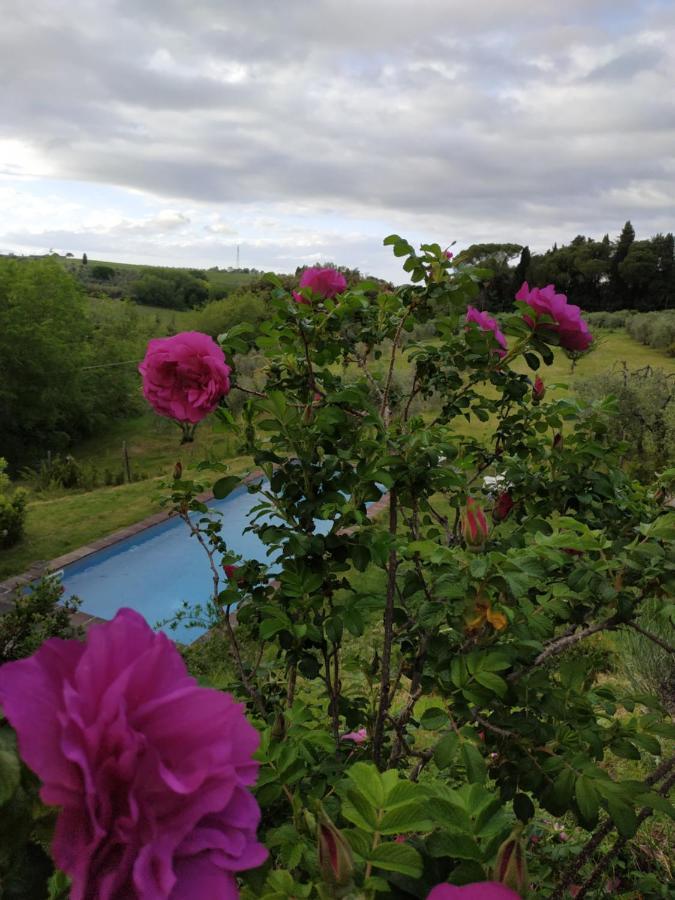 Poderi In Chianti Tavarnelle Val di Pesa Εξωτερικό φωτογραφία